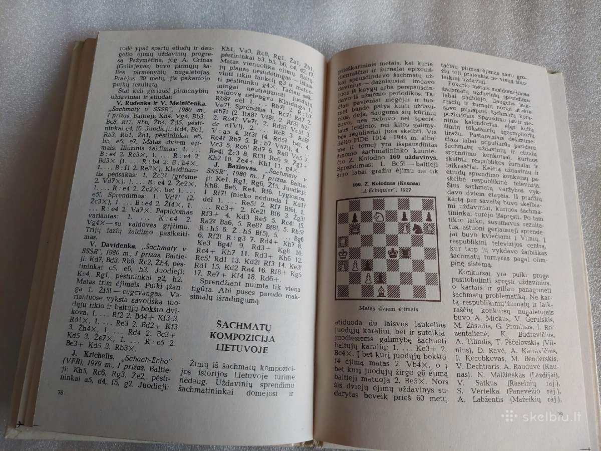 Šachmatų kompozicija - nuotraukos Nr. 5