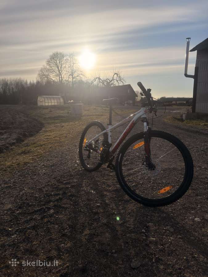 Specialized Pitch 27.5