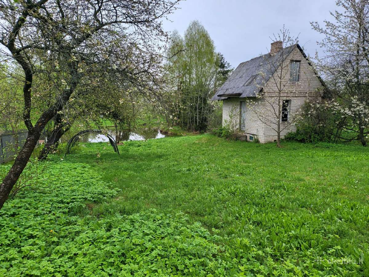Parduodamas sodo sklypas šalia vandens telkinio - nuotraukos Nr. 10