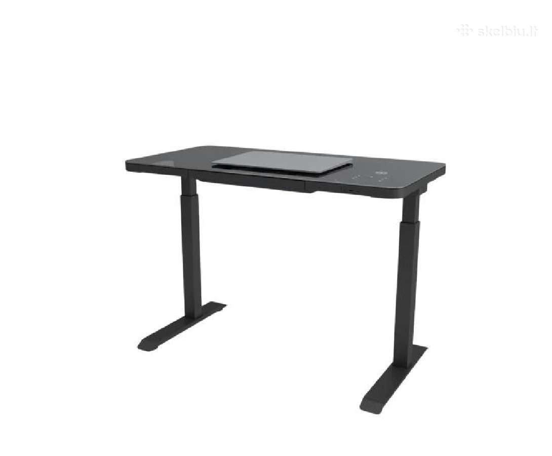 Reguliuojamo aukščio stalas Home (baltas) –15% - nuotraukos Nr. 5