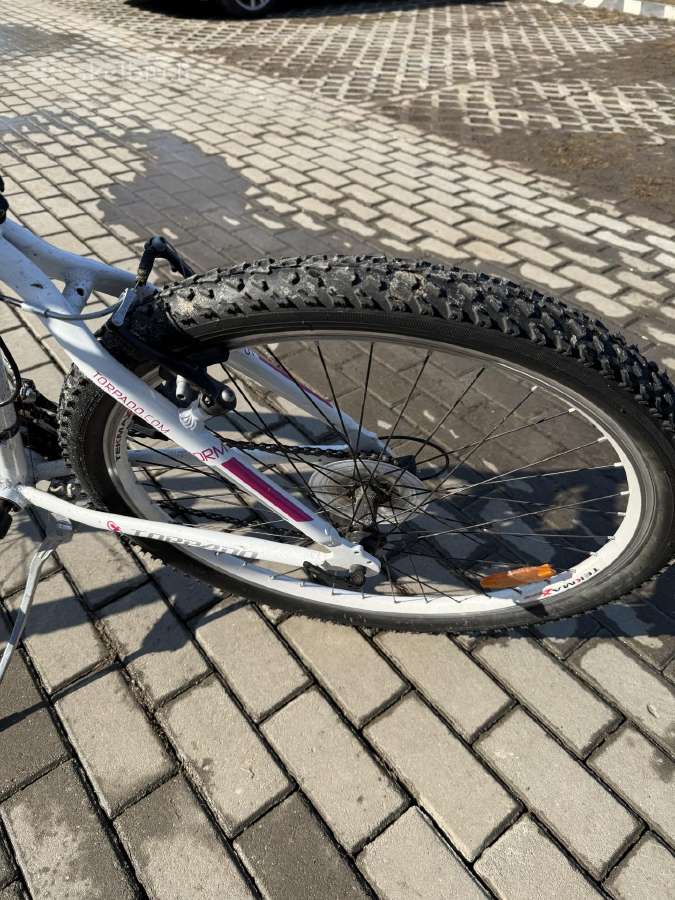 Kalnų dviratis Torpado Storm - nuotraukos Nr. 5