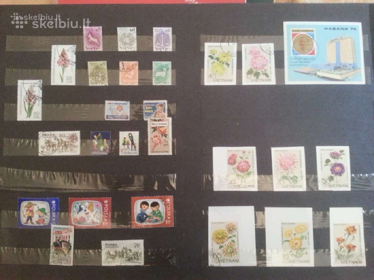 Siulau dideli kieki markiu kaina 145 eur. - nuotraukos Nr. 3