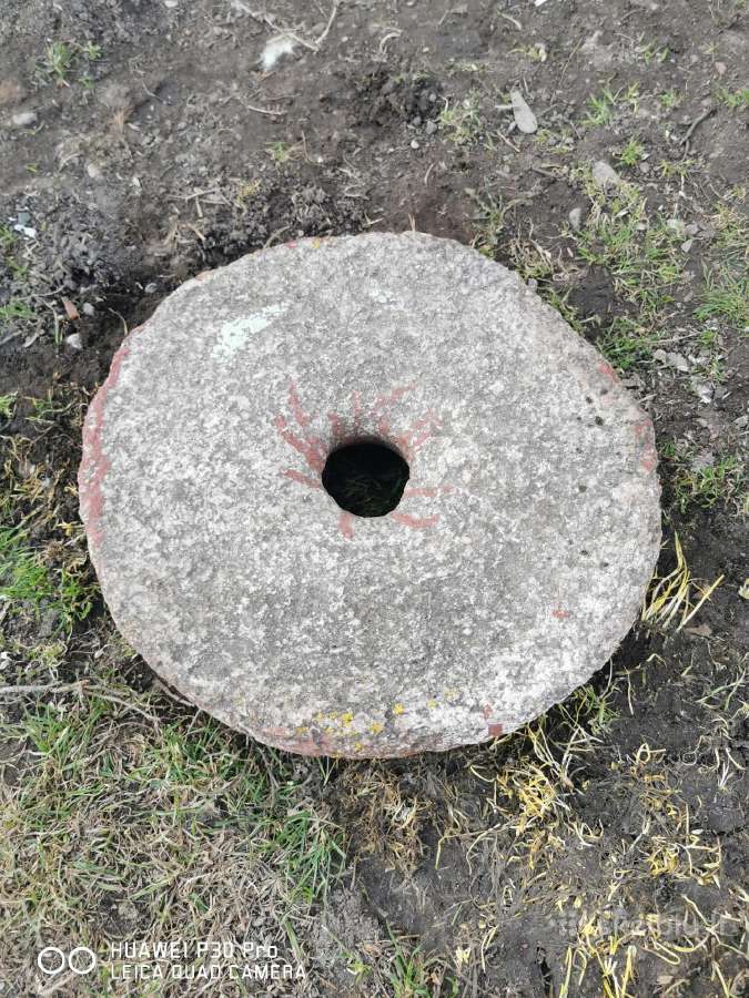 Girna girnapusė
