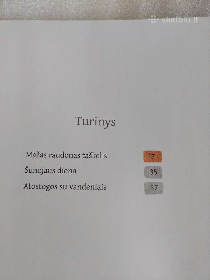 Šunojaus diena - nuotraukos Nr. 3