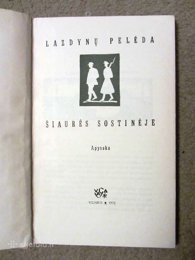 Lazdynų pelėda. Šiaurės sostinėje - nuotraukos Nr. 2