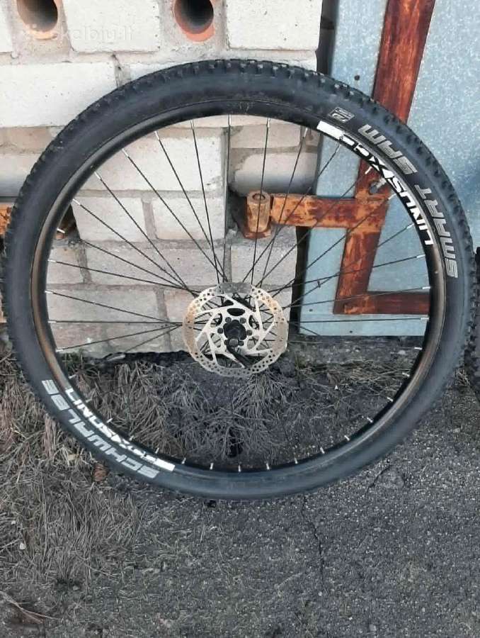 Md25 + Schwalbe Racing Ralph