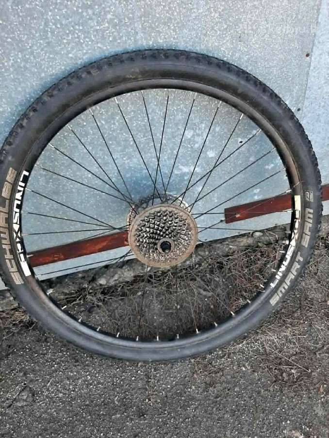 Md25 + Schwalbe Racing Ralph - nuotraukos Nr. 3