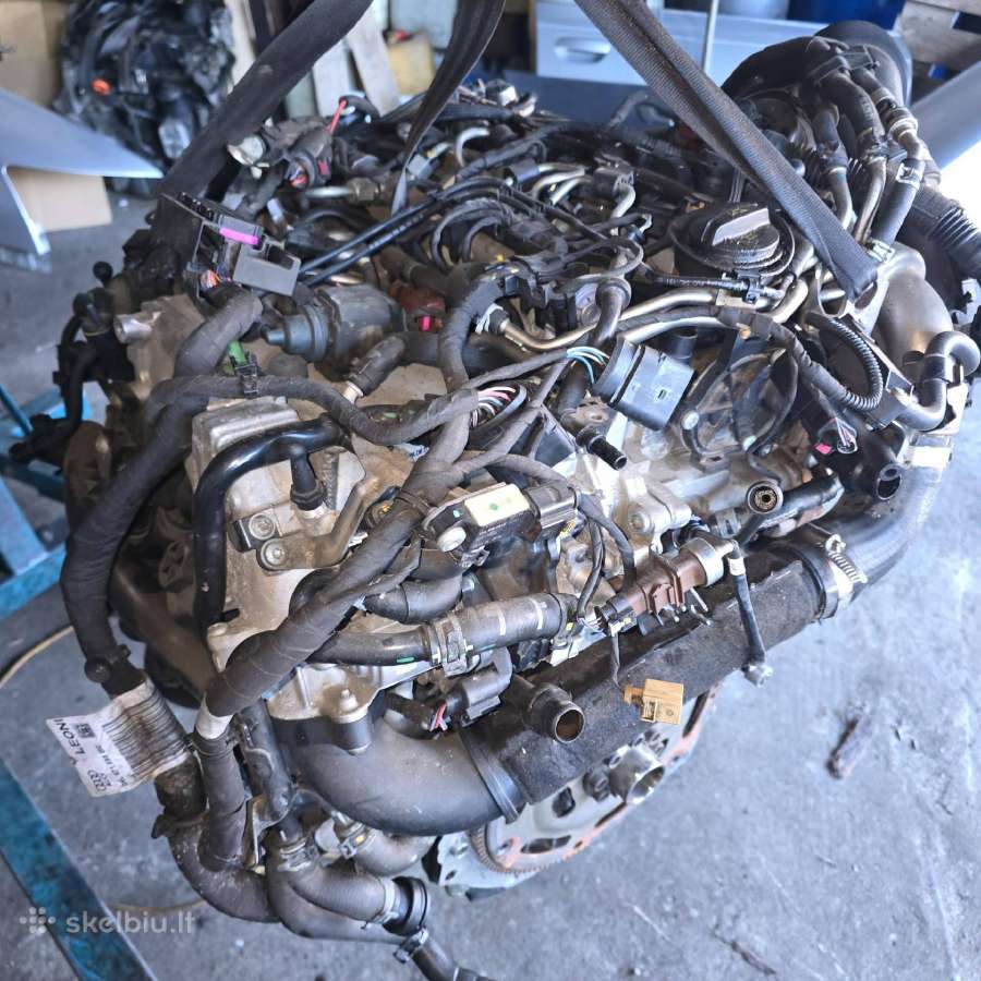 Audi A4 B9 variklis Deta dyzelinas 2.0 tdi 140 kw - nuotraukos Nr. 6