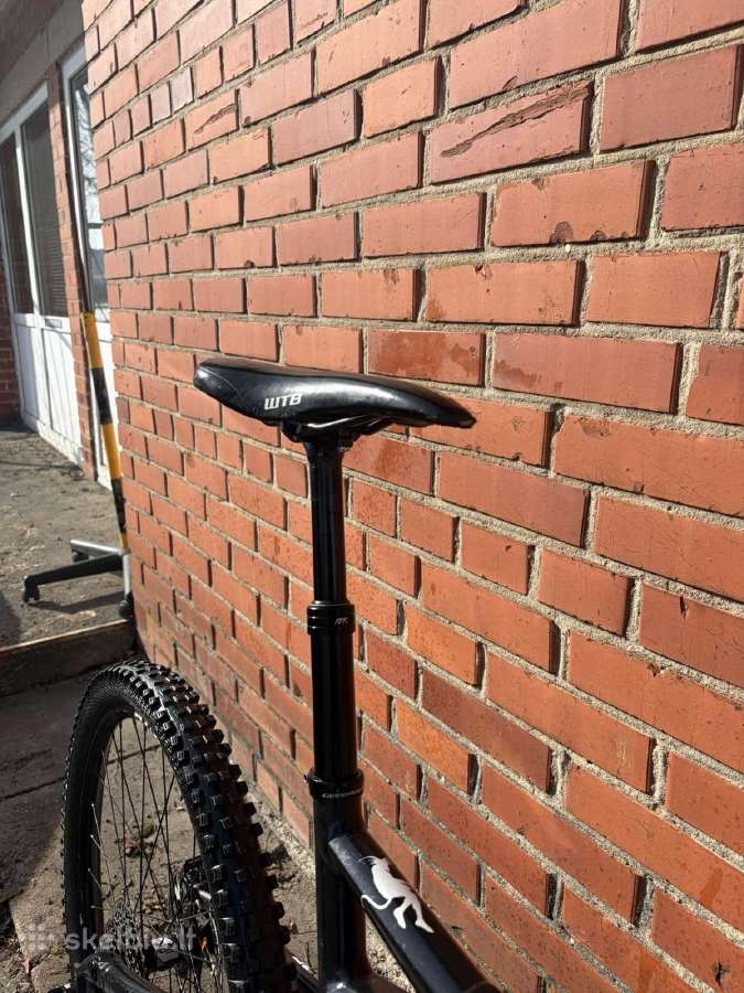 Legendinis kalnų dviratis 2015 Cannondale Jekyll3 - nuotraukos Nr. 9