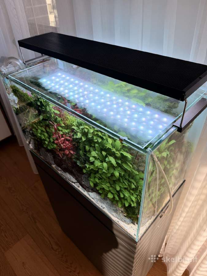 Ada 60p akvariumas su priedais