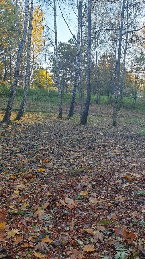 Sodo sklypas