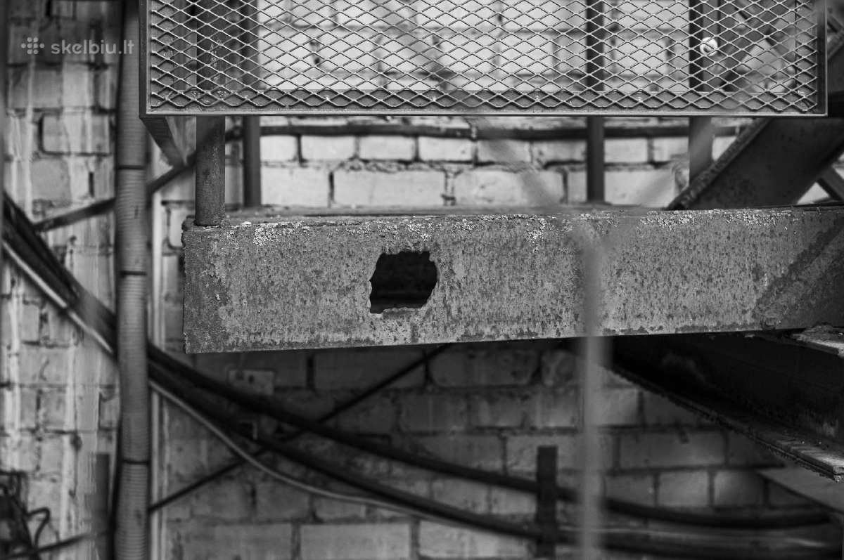 Nikon su 50mm 1.4 - nuotraukos Nr. 18