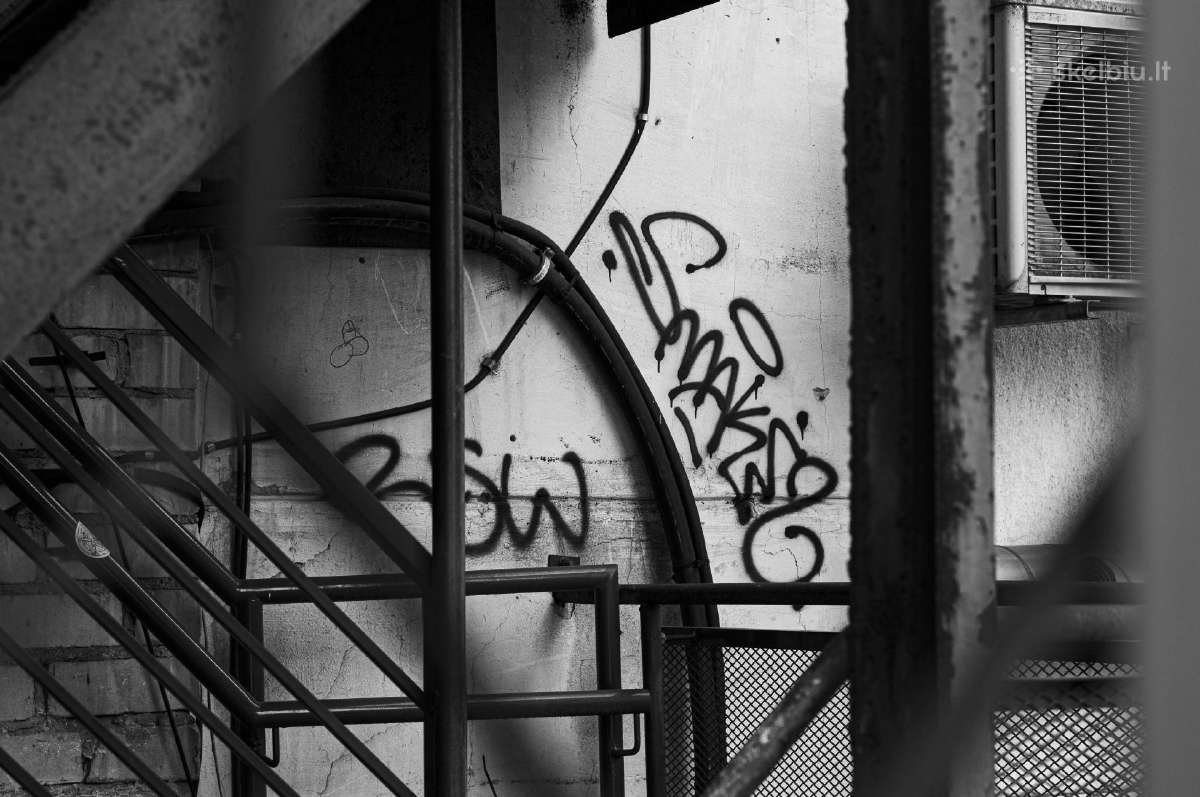 Nikon su 50mm 1.4 - nuotraukos Nr. 19