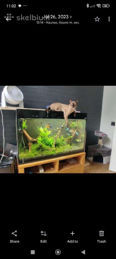 Akvariumas 200 litru