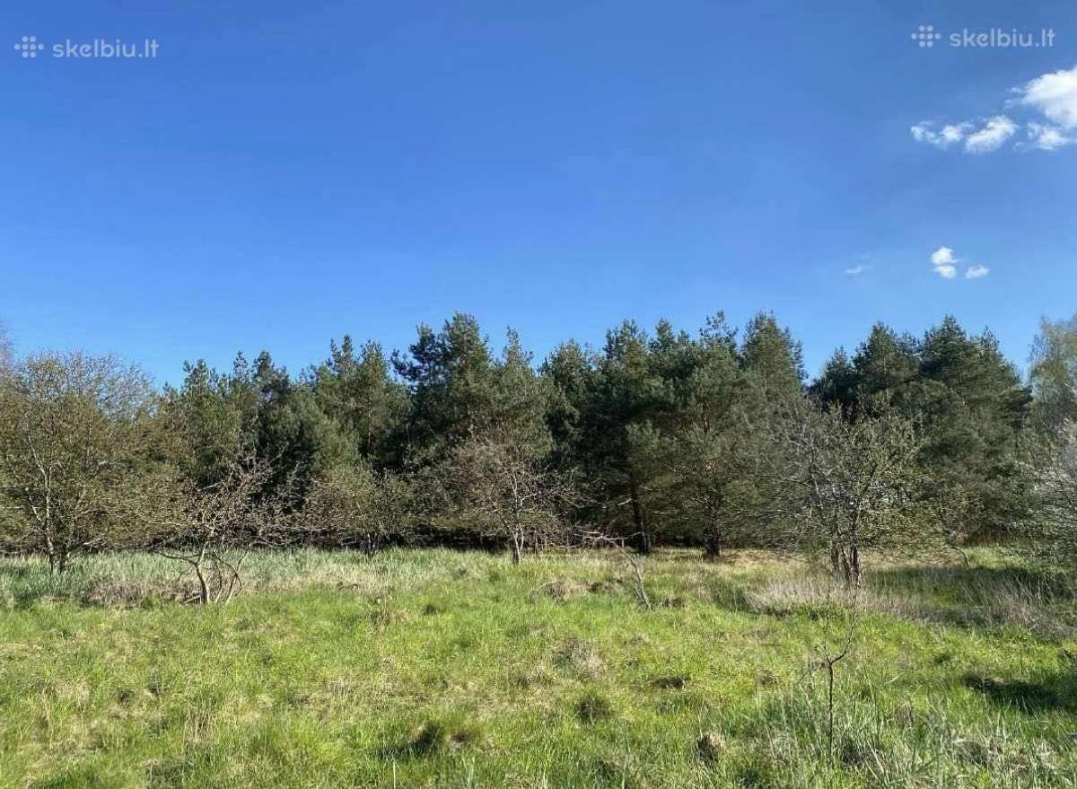 30 a sklypas miško apsuktas, tik 7km nuo Palangos - nuotraukos Nr. 5