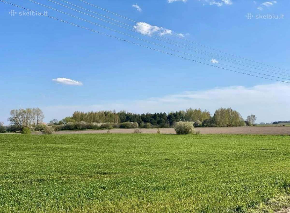 30 a sklypas miško apsuktas, tik 7km nuo Palangos - nuotraukos Nr. 6