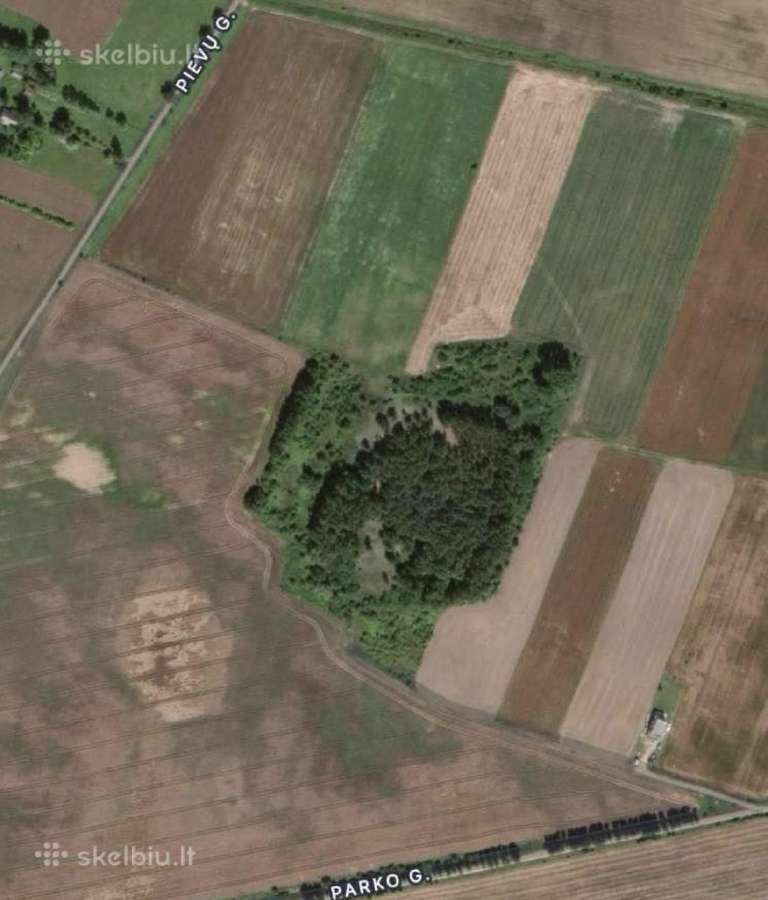 30 a sklypas miško apsuktas, tik 7km nuo Palangos - nuotraukos Nr. 7