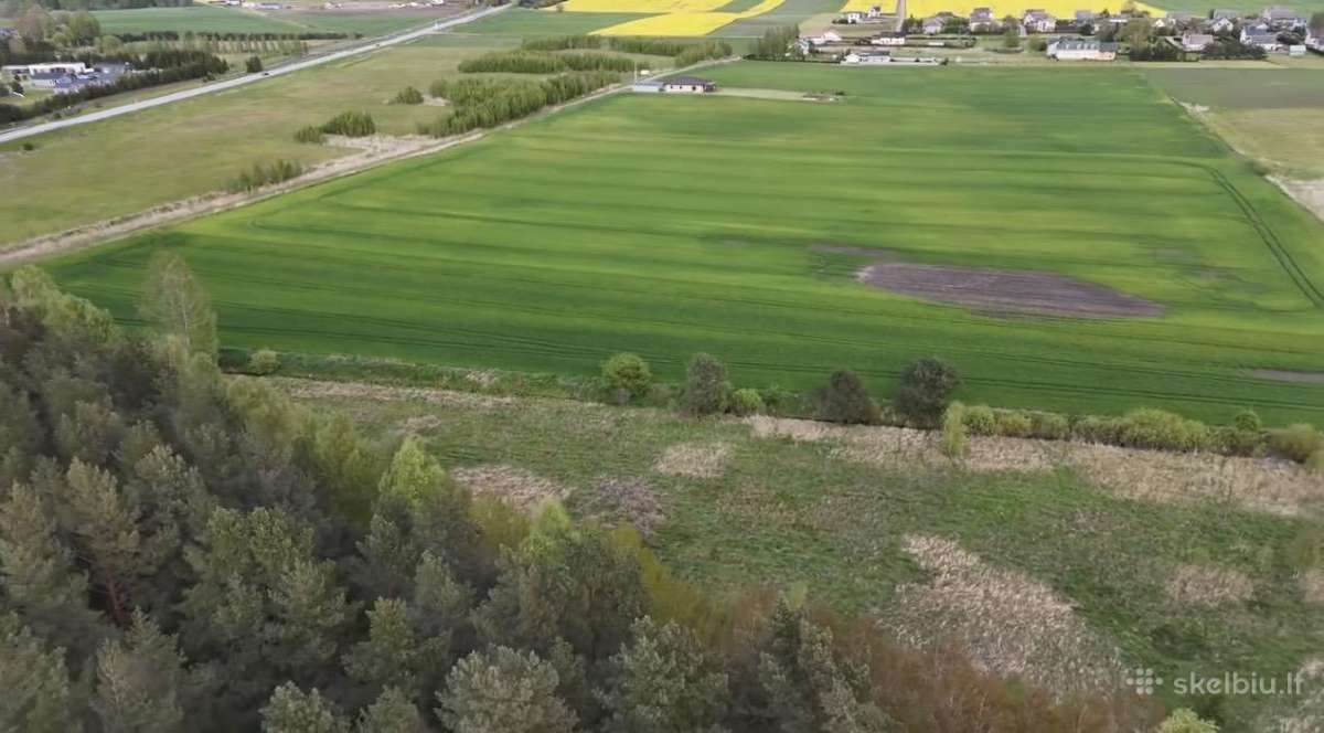 62 a sklypas prie Palangos – ribojasi su mišku - nuotraukos Nr. 2