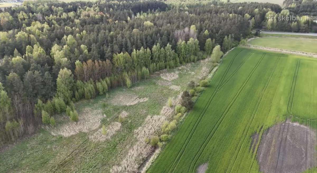 62 a sklypas prie Palangos – ribojasi su mišku - nuotraukos Nr. 3