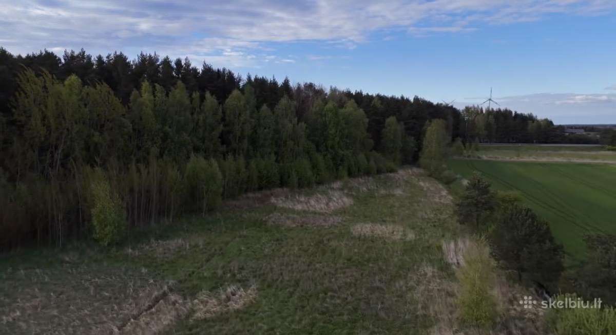 62 a sklypas prie Palangos – ribojasi su mišku - nuotraukos Nr. 4