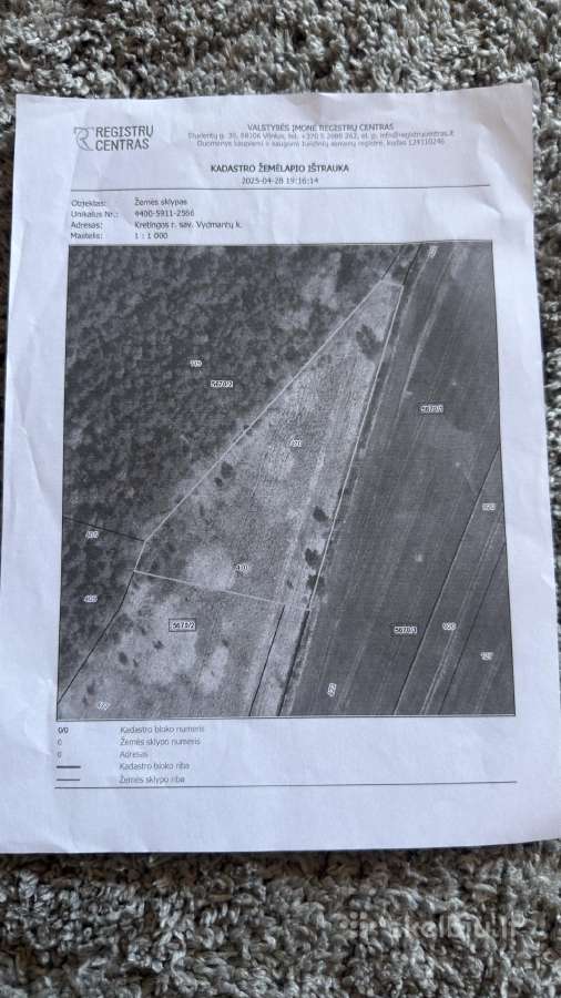 62 a sklypas prie Palangos – ribojasi su mišku - nuotraukos Nr. 7