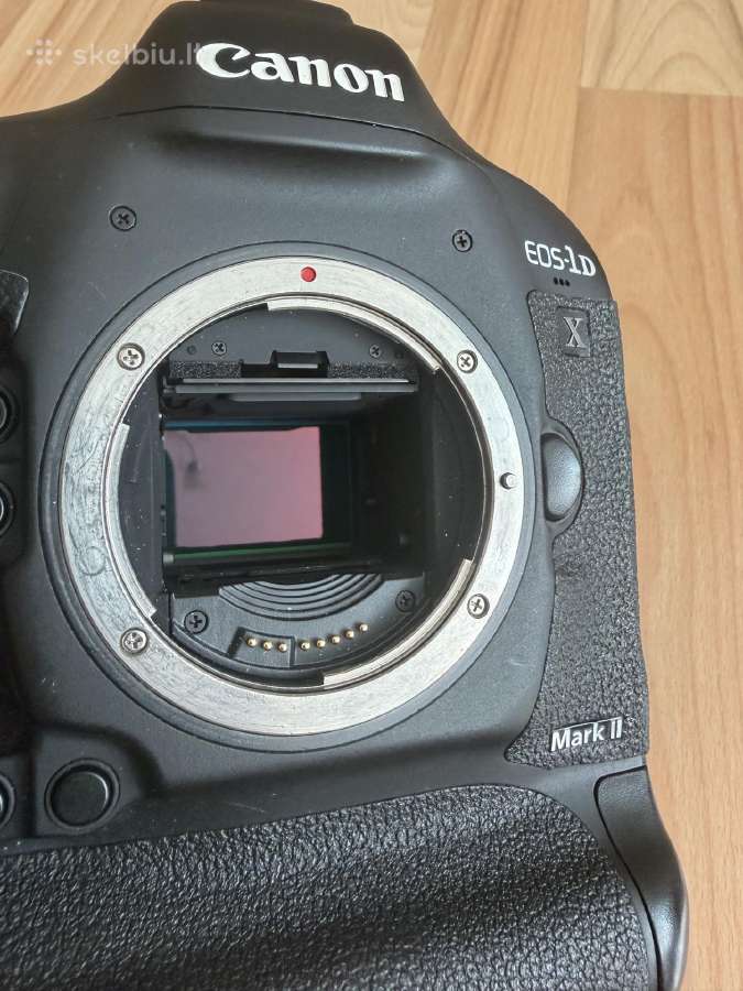 Canon 1dx Mark II - nuotraukos Nr. 12