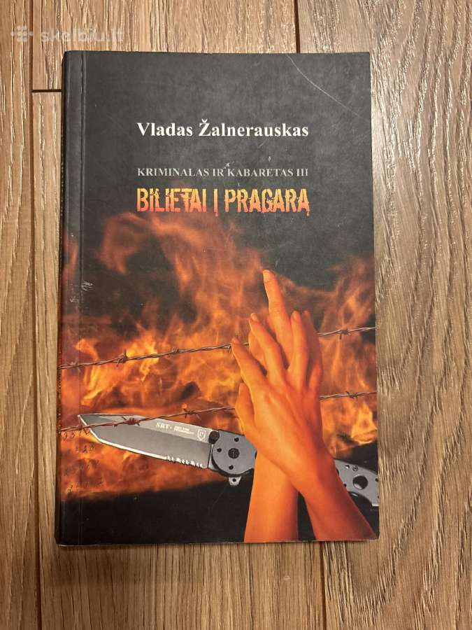 Šiuolaikiškos knygos lietuvių kalba - nuotraukos Nr. 12