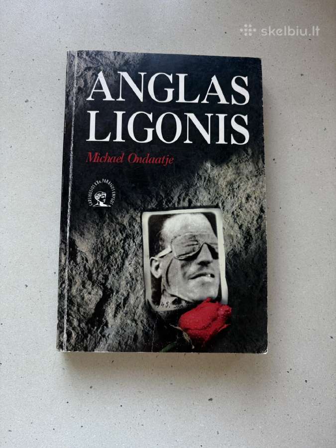 Šiuolaikiškos knygos lietuvių kalba - nuotraukos Nr. 26