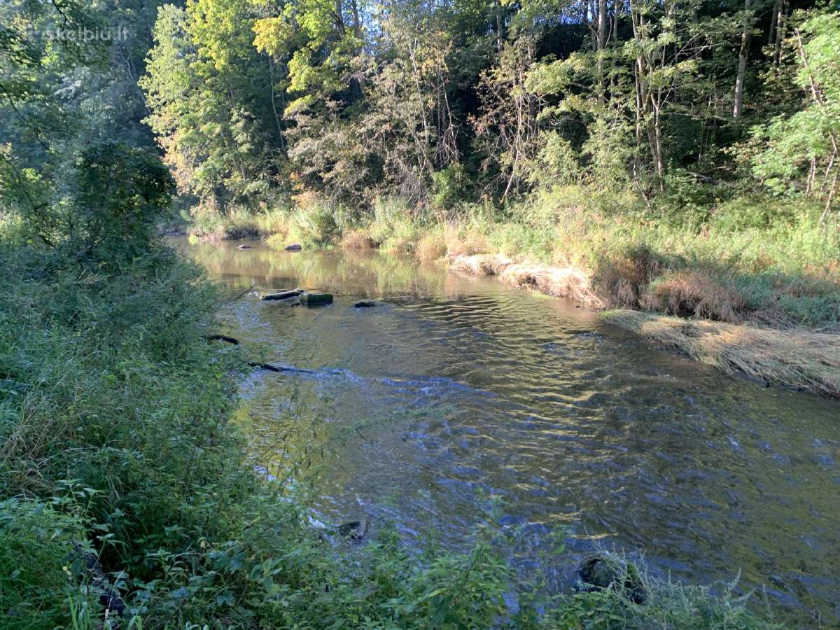 Sklypas prie Minjos investicijai, poilsiui - nuotraukos Nr. 2