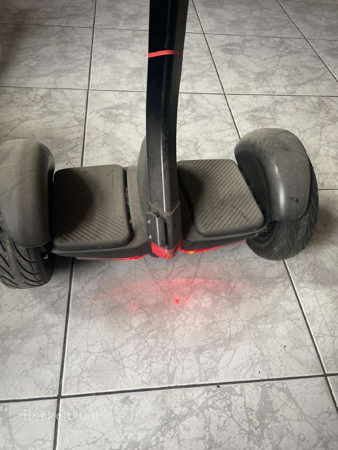 Mini segway