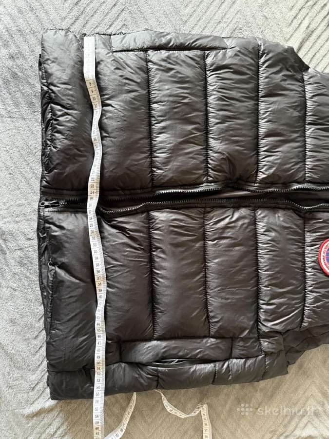 Canada goose liemene L dydis