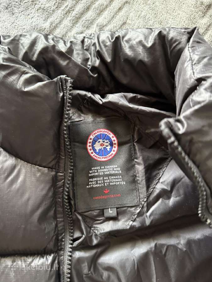 Canada goose liemene L dydis - nuotraukos Nr. 3