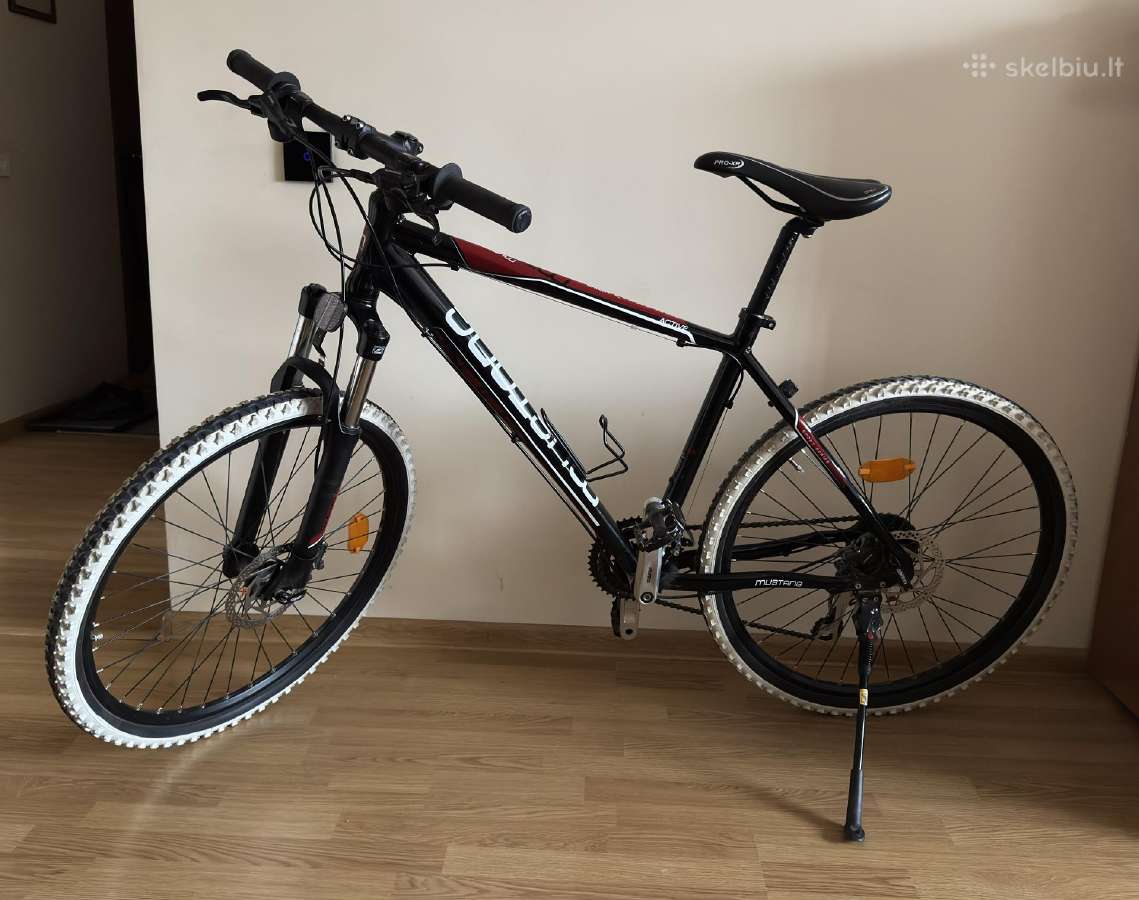 MTB Dviratis mustang