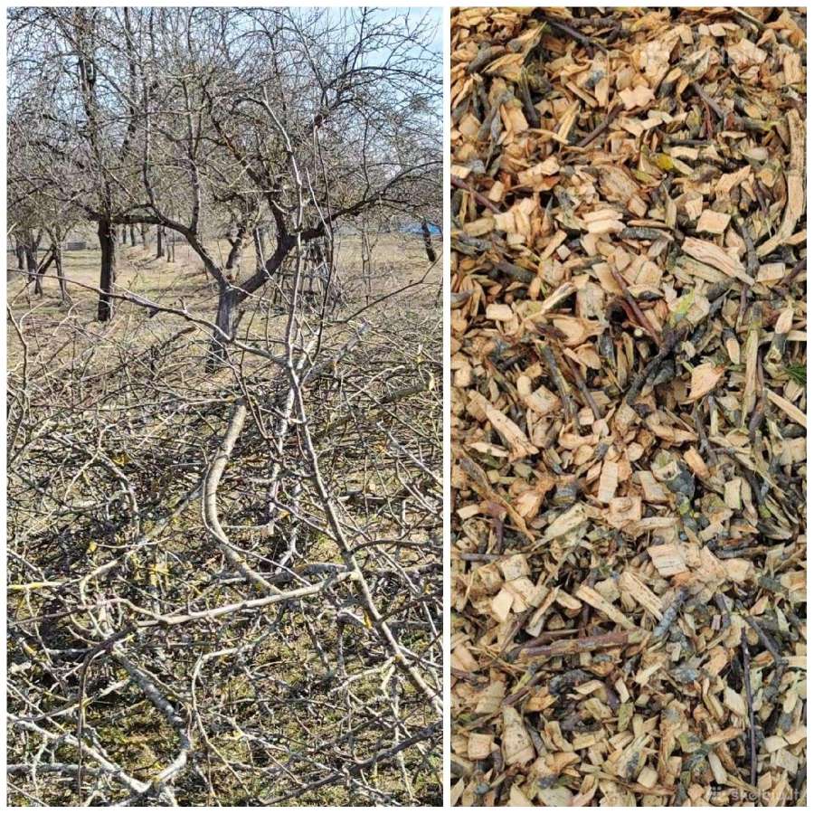 Šakų smulkintuvo nuoma Kaune/Kauno raj