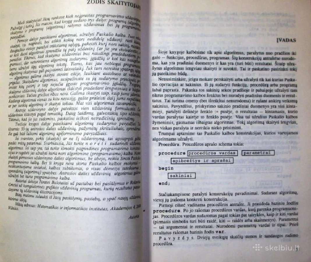 Programavimo uždavinynas - nuotraukos Nr. 3