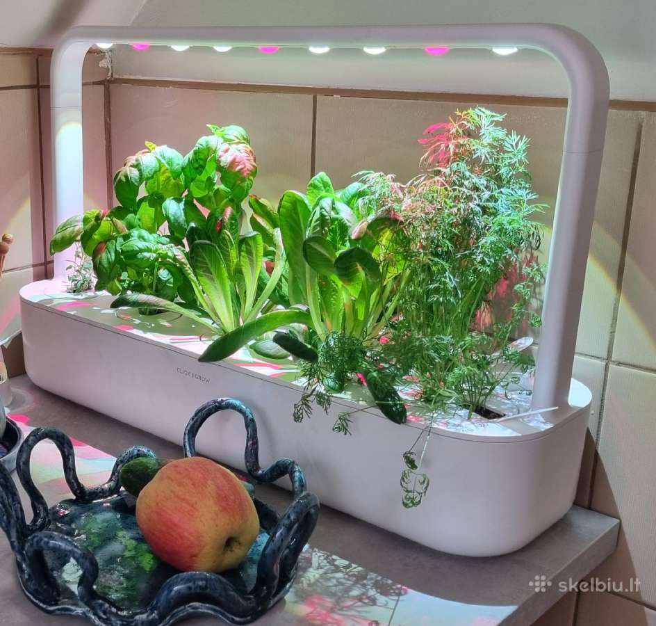 Smart Garden 9 "Click & Grow", Išmanusis sodas
