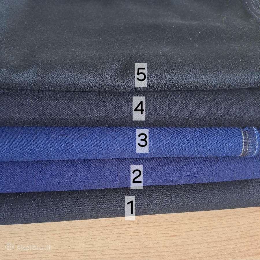 Audinys