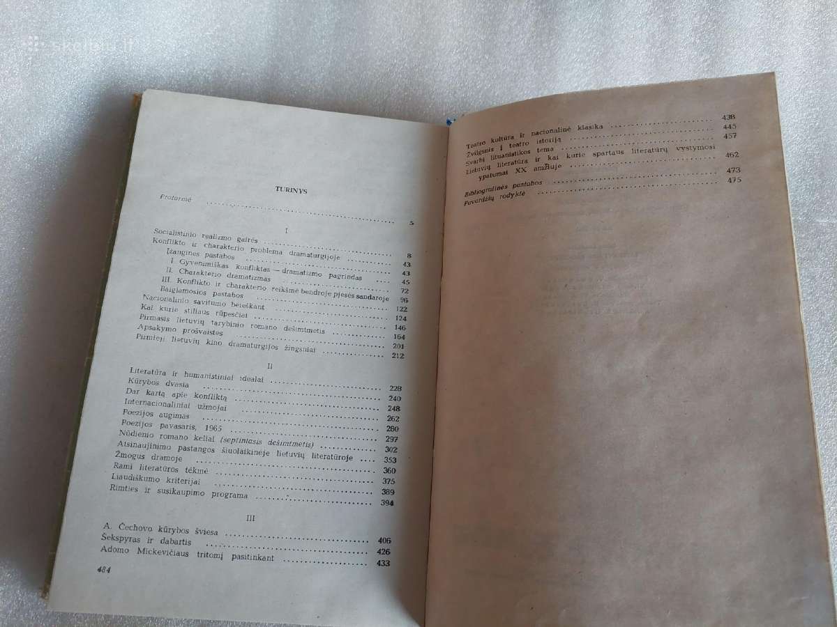 Literatūros procesas - nuotraukos Nr. 3
