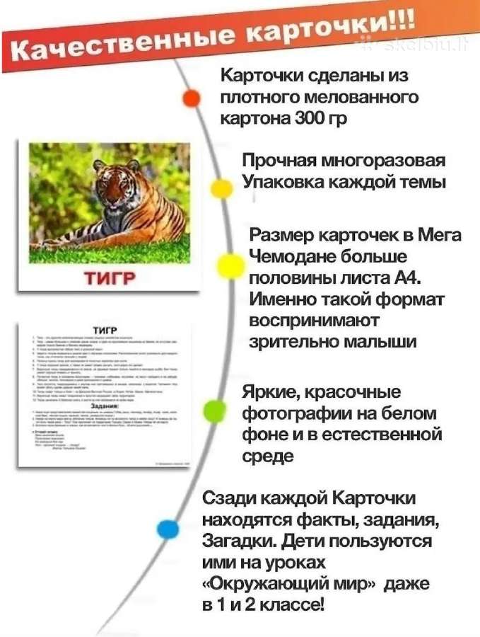Pilnas Domano kortelių rinkinys rusų kalba: Vaikas - nuotraukos Nr. 3