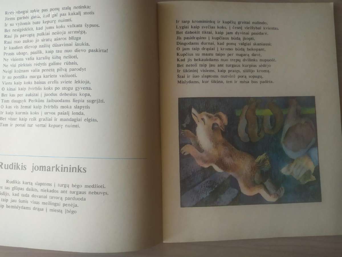 "Ąžuols gyrpelnys" - nuotraukos Nr. 7