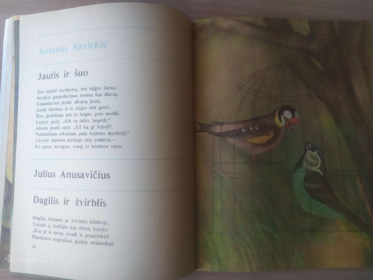 "Ąžuols gyrpelnys" - nuotraukos Nr. 9