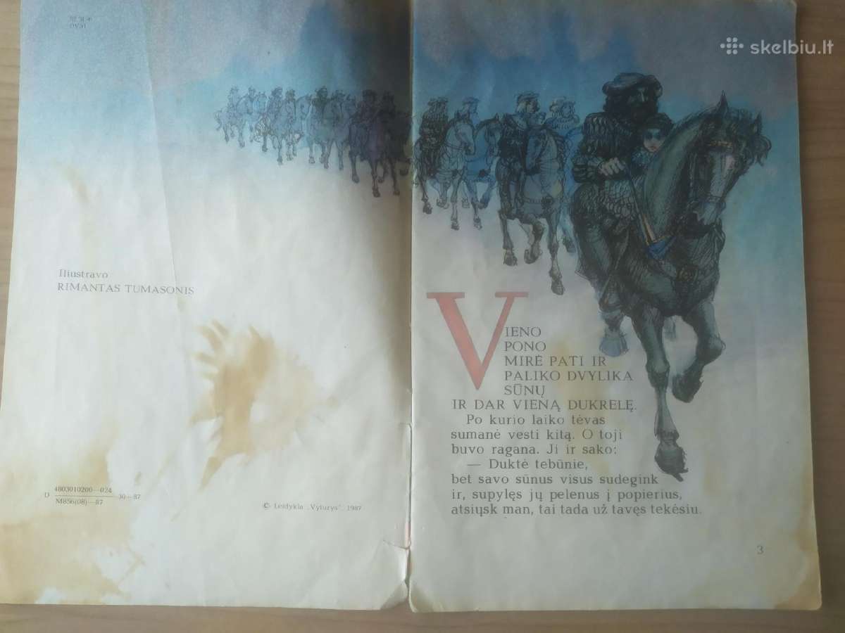 "Dvylika brolių juodvarniais lakstančių" - nuotraukos Nr. 4