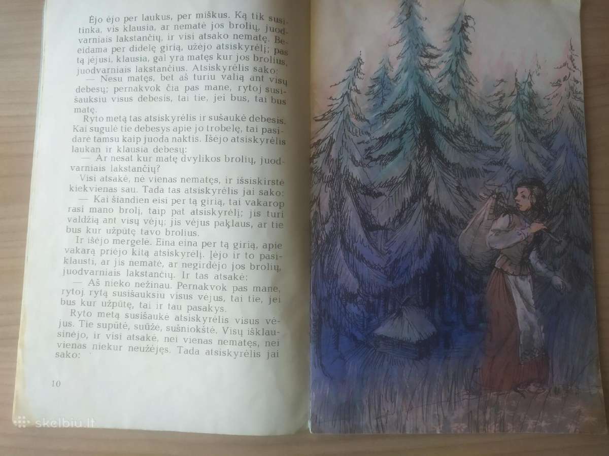 "Dvylika brolių juodvarniais lakstančių" - nuotraukos Nr. 6