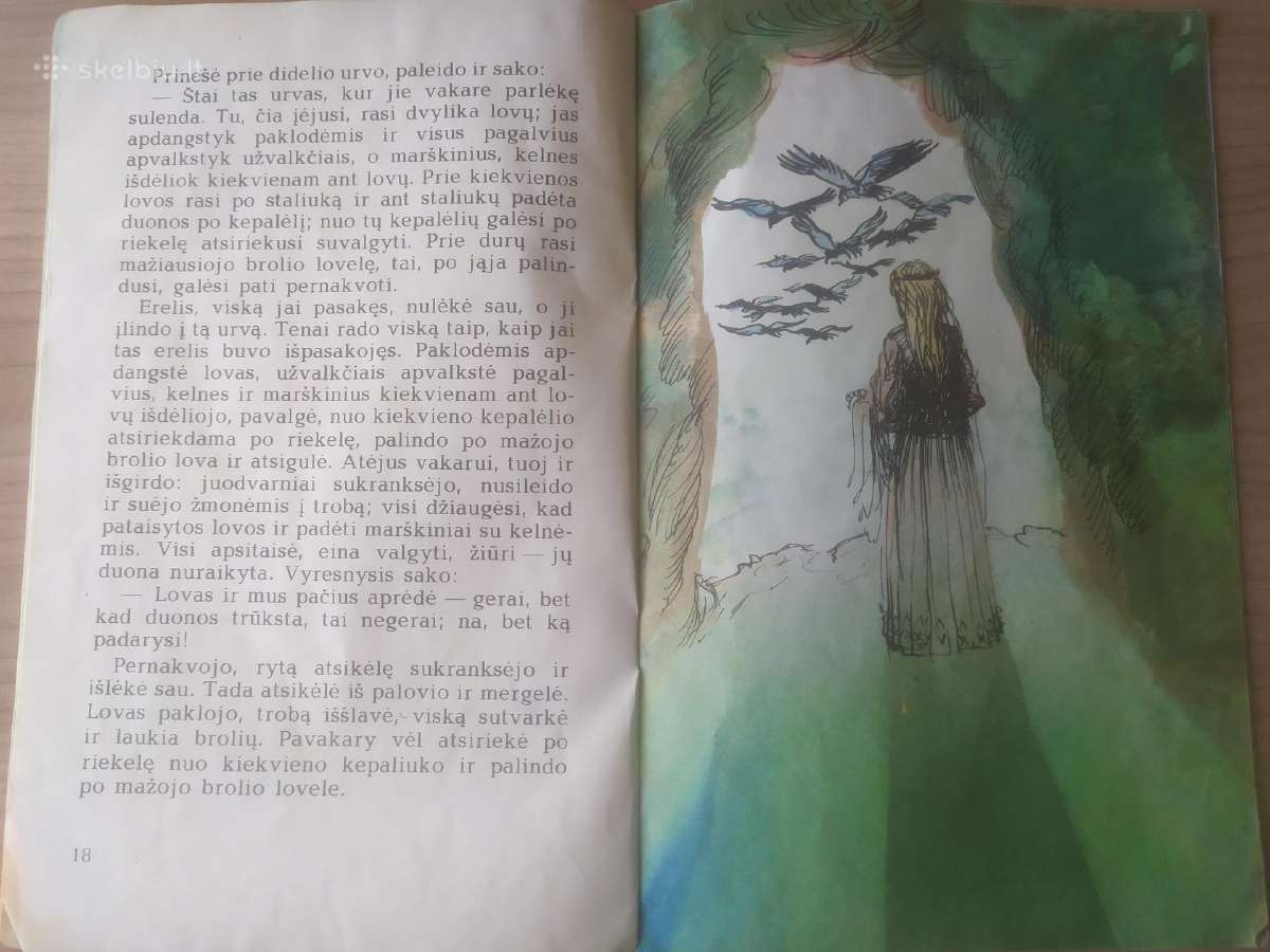 "Dvylika brolių juodvarniais lakstančių" - nuotraukos Nr. 7