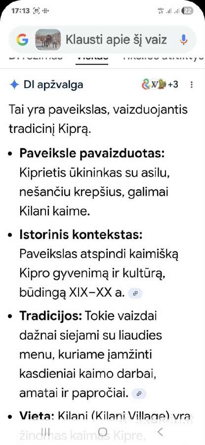 Paveikslas - nuotraukos Nr. 4