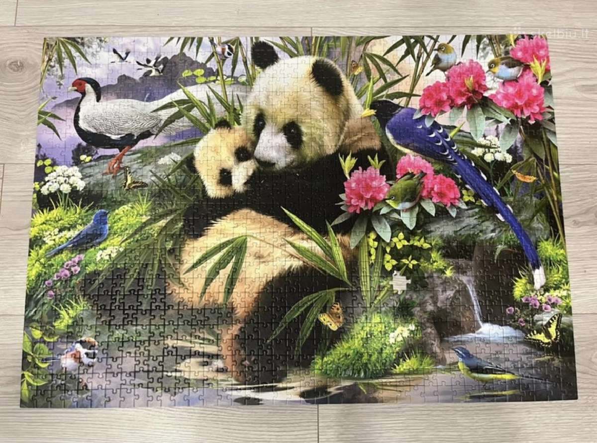Trefl puzzle