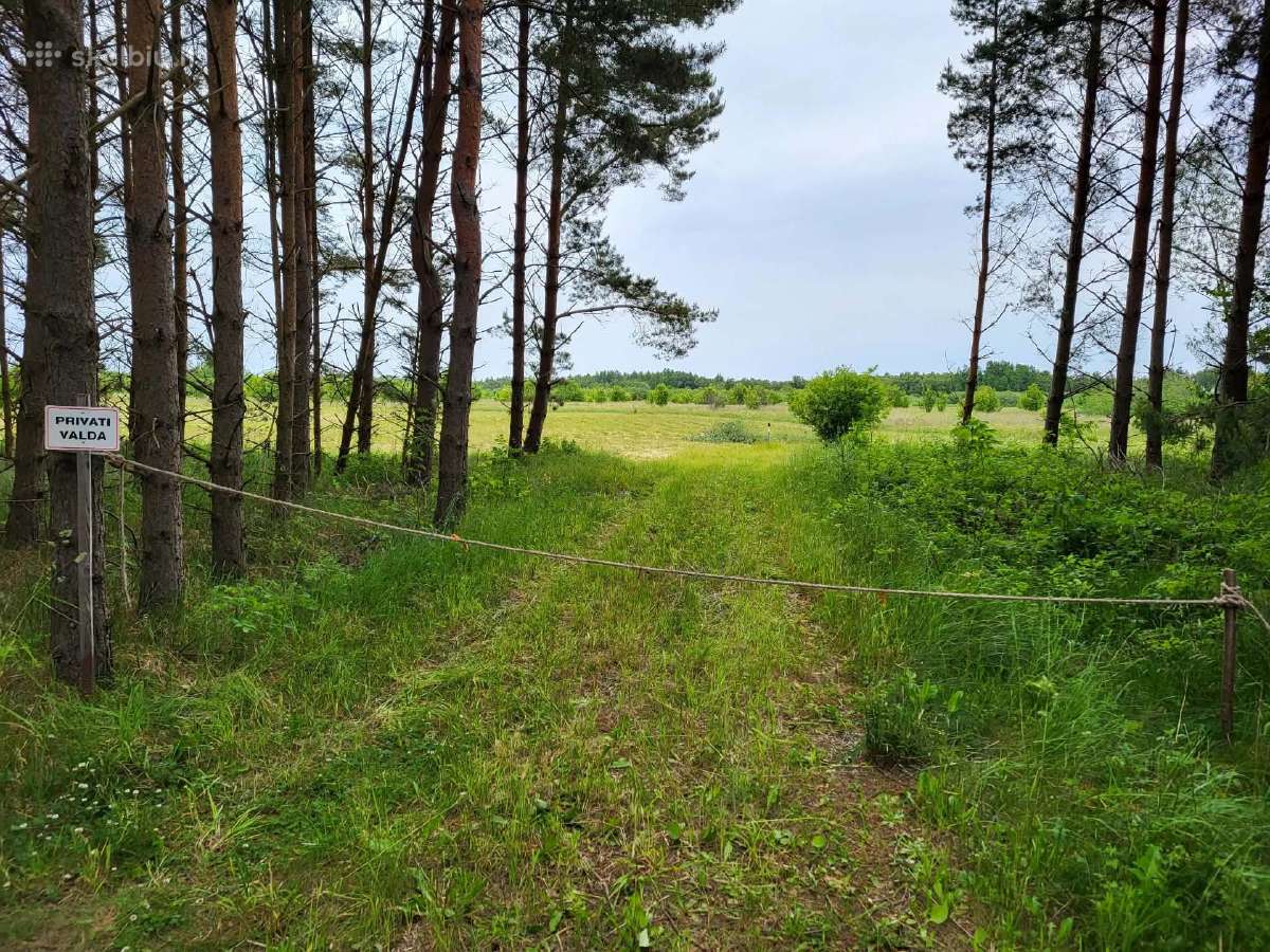 Sklypas Latvijos pajūryje Nidoje
