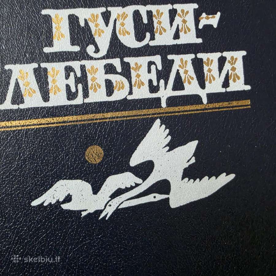 Pasakos rusų kalba "гуси-лебеди" - nuotraukos Nr. 2