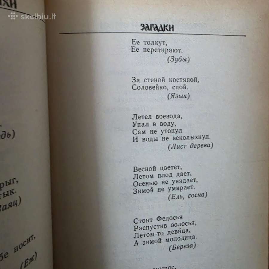 Pasakos rusų kalba "гуси-лебеди" - nuotraukos Nr. 14