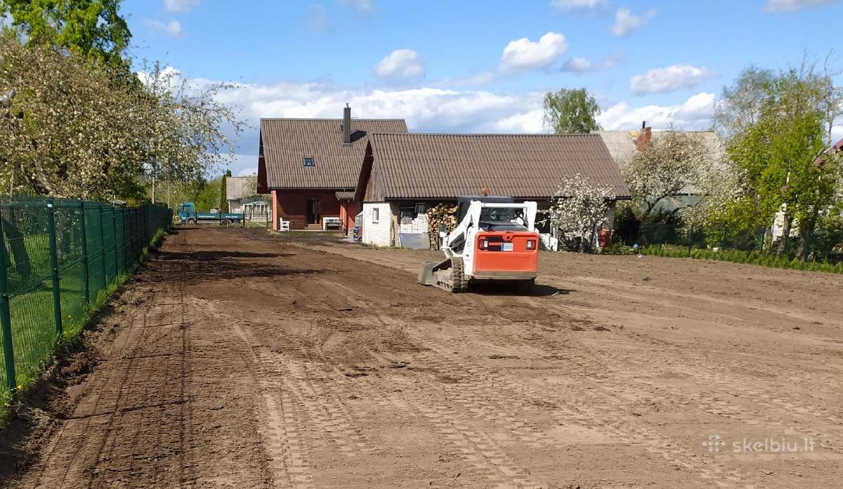 Tuja smaragd, vejos įrengimas - nuotraukos Nr. 6
